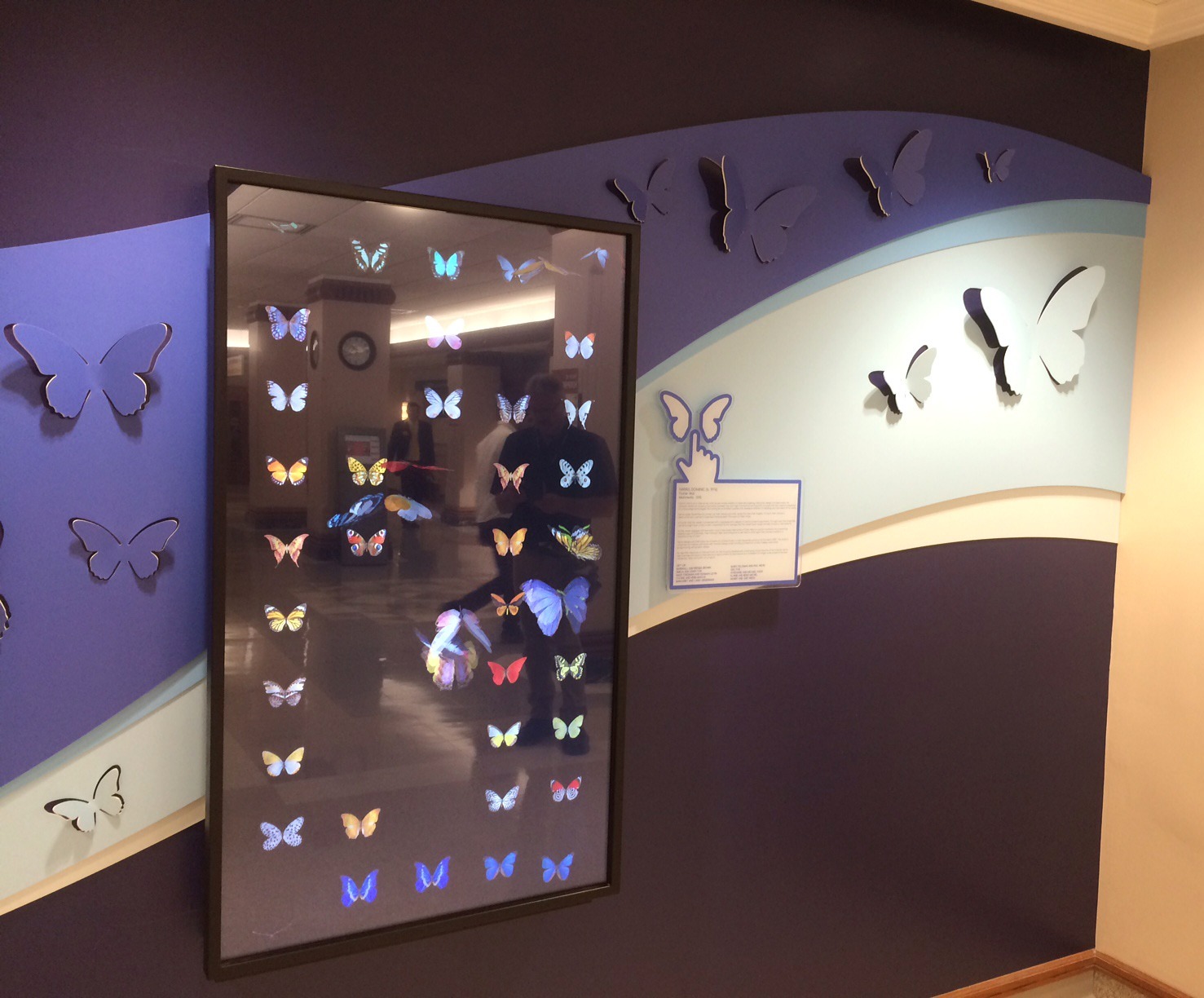 Butterfly Gallery - portfolio digital displays